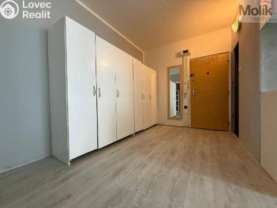 Продажа квартиры 2+1 Jirkov, Hornická 1470 č. 12