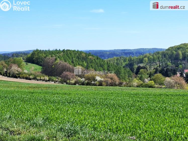 Prodej chaty Černé Voděrady, Přestvůrka 5109 č. 30