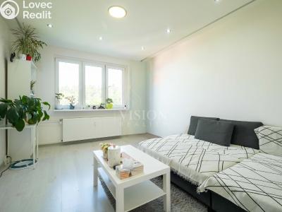 Sale apartment 3+1 Habartov, Karla Čapka č. 4