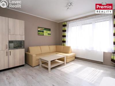 Pronájem bytu 1+KK Znojmo, Nová Přímětická č. 1