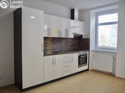 Rent apartment 1+1 Hodonín, Nádražní řádek č. 1