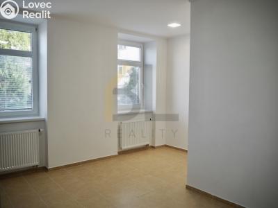 Rent apartment 1+1 Hodonín, Nádražní řádek č. 2