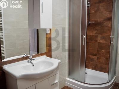 Rent apartment 1+1 Hodonín, Nádražní řádek č. 6