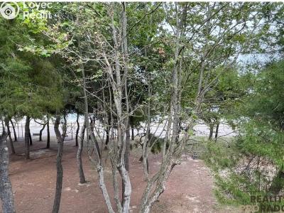 Sale apartment 3+KK Via Taormina,Villa Rosa,Itálie č. 22