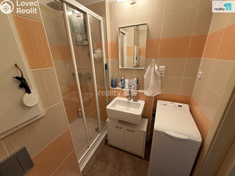 Pronájem bytu 1+1 Česká Lípa, Železničářská č. 10