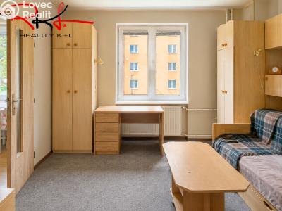 Pronájem bytu 1+1 Mělník, Sokolovská č. 4