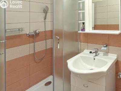 Pronájem bytu 1+1 Mělník, Sokolovská č. 6