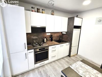 Prodej bytu 3+1 Ostrava, Mariánskohorská č. 7