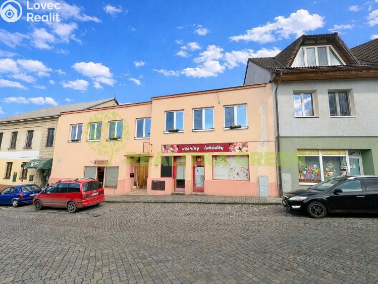 Аренда торгового помещеня Želechovice nad Dřevnicí, 4. května 237 č. 1