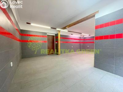 Rent commercial space Želechovice nad Dřevnicí, 4. května 237 č. 5