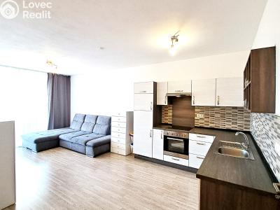 Оренда квартири 2+KK České Budějovice, Volejbalistů č. 3