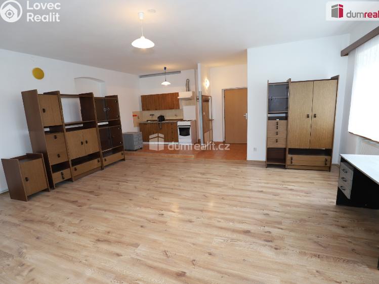 Rent apartment 1+KK Karlovy Vary č. 1