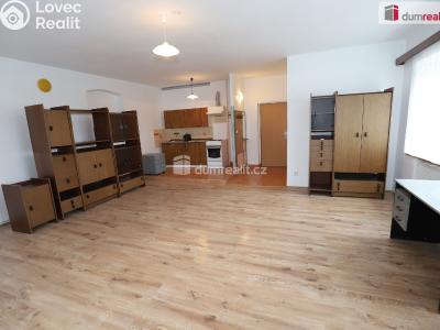 Оренда квартири 1+KK Karlovy Vary č. 1