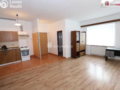 Оренда квартири 1+KK Karlovy Vary č. 5