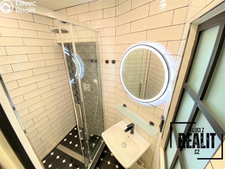 Rent apartment 1+1 Praha, Újezd 402/33 č. 3