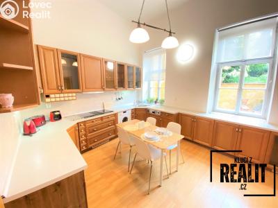 Rent apartment 1+1 Praha, Újezd č. 6