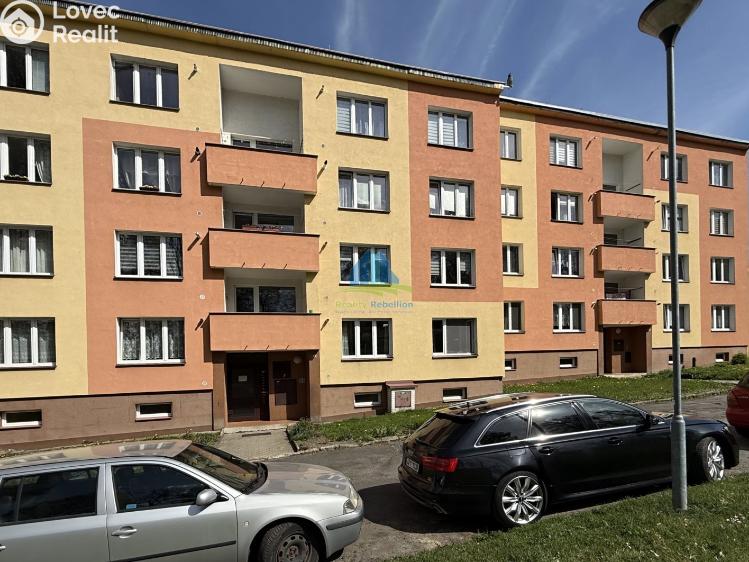 Prodej bytu 1+1 Plesná, Světlá 476 č. 1