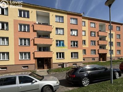 Prodej bytu 1+1 Plesná, Světlá 476 č. 1