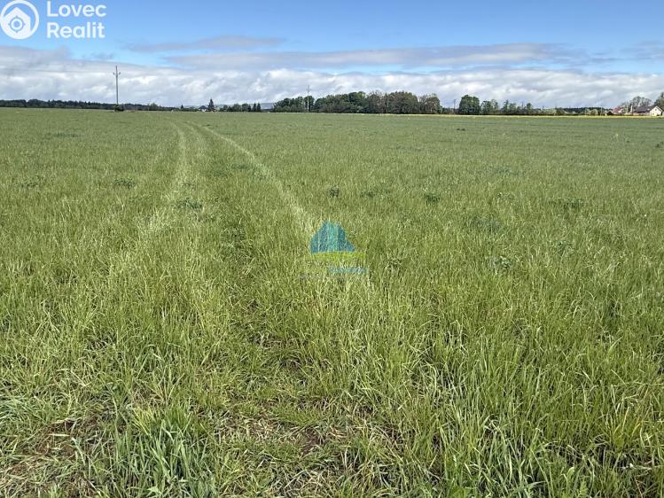 Продаж поля Františkovy Lázně, Americká 10 č. 4