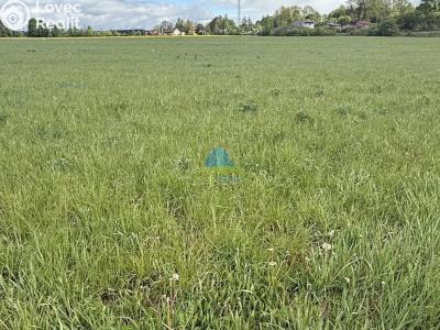 Продаж поля Františkovy Lázně, Americká 10 č. 3