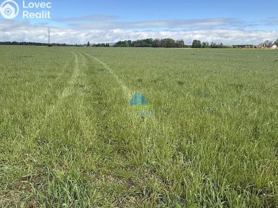 Продаж поля Františkovy Lázně, Americká 10 č. 4