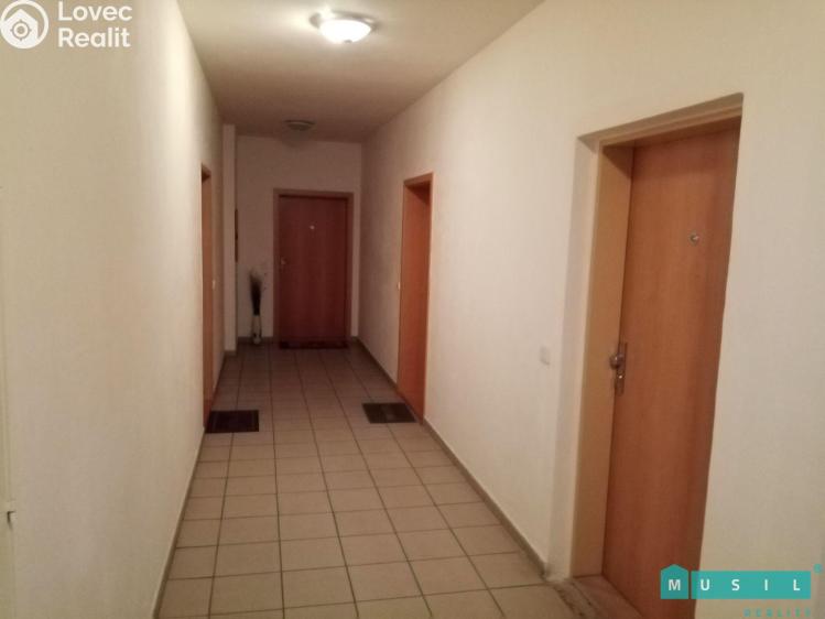 Rent room Olomouc, Ibsenova č. 4