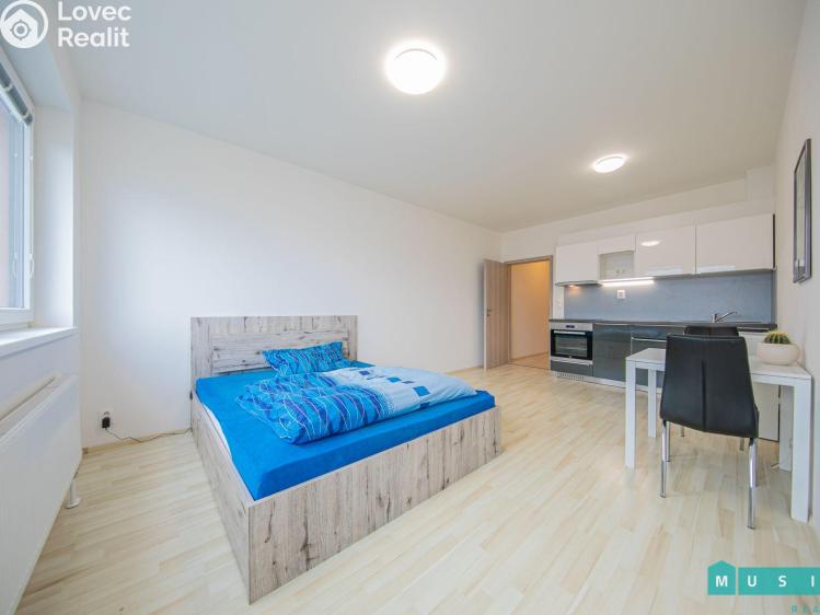 Pronájem bytu 1+KK Olomouc, Aloise Rašína č. 3