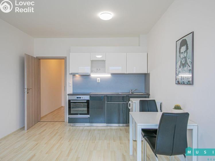 Pronájem bytu 1+KK Olomouc, Aloise Rašína č. 4