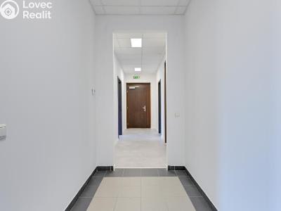 Pronájem bytu 3+1 Šumperk, Langrova č. 14