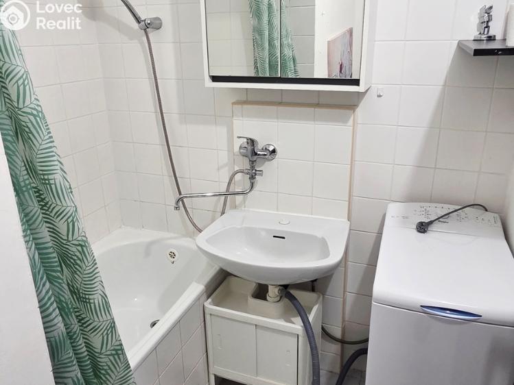Rent apartment 1+KK Praha, Levského č. 5