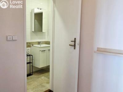 Rent apartment 1+1 Praha, Kouřimská č. 7