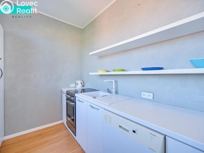 Pronájem bytu 3+1 Olomouc, Kaštanová č. 1