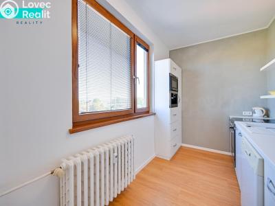 Pronájem bytu 3+1 Olomouc, Kaštanová č. 6