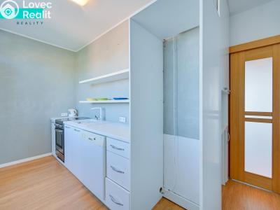 Аренда квартиры 3+1 Olomouc, Kaštanová č. 7