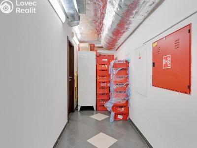 Rent commercial space Šumperk, Langrova č. 8