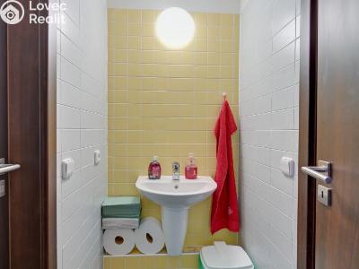 Rent commercial space Šumperk, Langrova č. 11