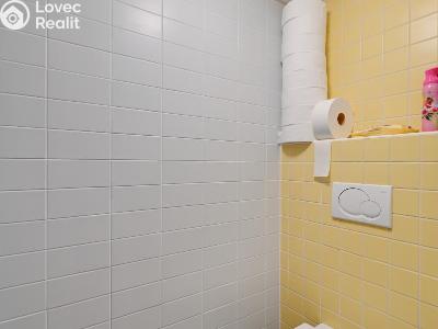 Rent commercial space Šumperk, Langrova č. 12