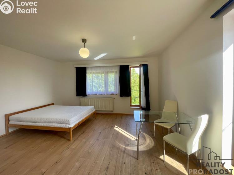 Rent apartment 1+KK Praha, Na okraji č. 1