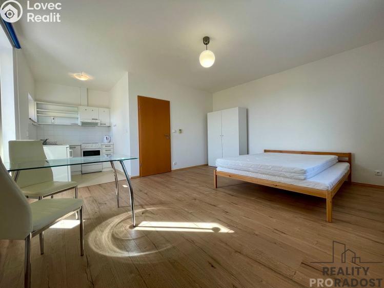 Rent apartment 1+KK Praha, Na okraji č. 3