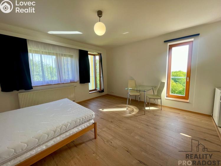 Rent apartment 1+KK Praha, Na okraji č. 4