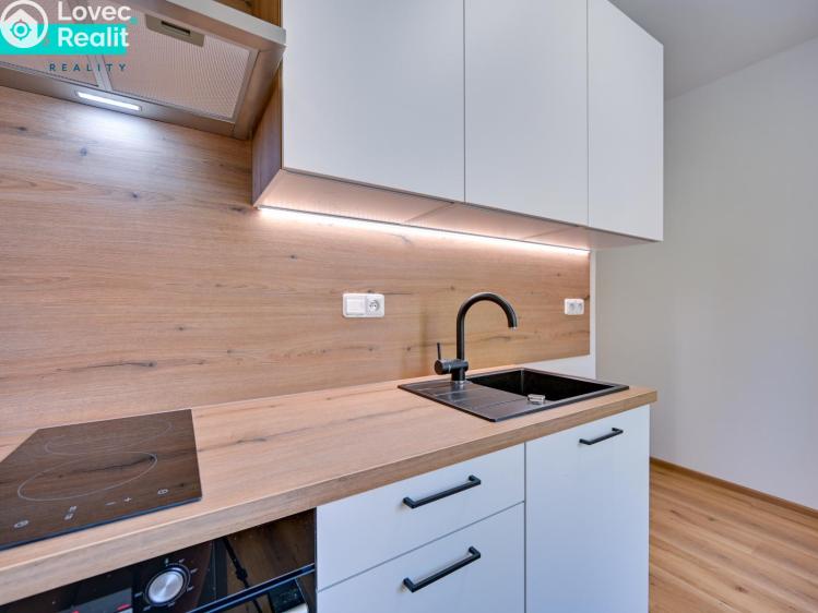 Rent apartment 1+1 Uničov, Nová č. 5