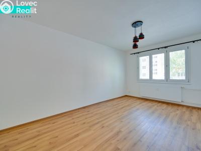 Аренда квартиры 1+1 Uničov, Nová č. 2