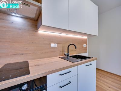 Аренда квартиры 1+1 Uničov, Nová č. 5