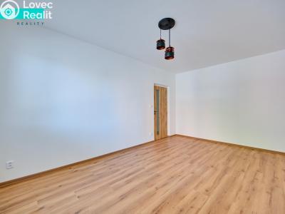 Аренда квартиры 1+1 Uničov, Nová č. 8