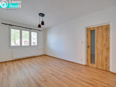 Аренда квартиры 1+1 Uničov, Nová č. 9