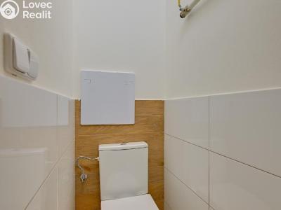 Аренда квартиры 1+1 Uničov, Nová č. 12