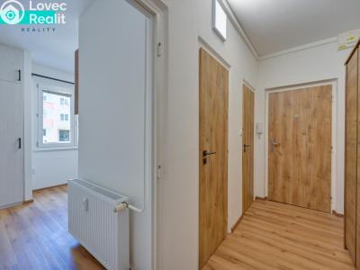 Аренда квартиры 1+1 Uničov, Nová č. 13