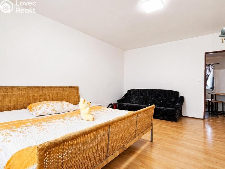 Pronájem bytu 1+1 Sebranice č. 5