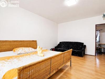 Pronájem bytu 1+1 Sebranice č. 5