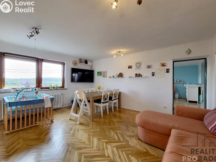 Sale family house Dyje č. 3